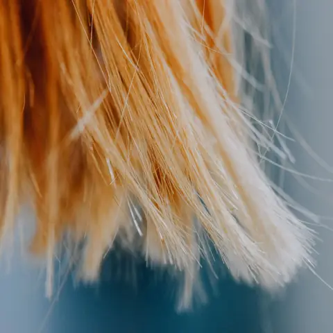 Close-up of hair strands fading from copper to pale blonde