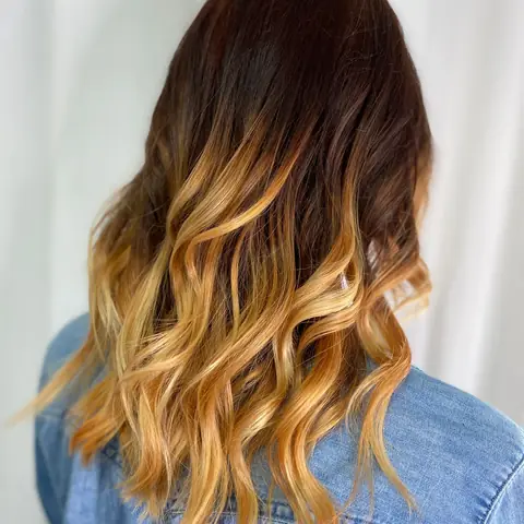 Long wavy hair seen from behind, dark brown at the roots melting into honey blonde ends